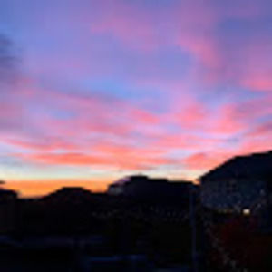 Meet your Posher, Audrey